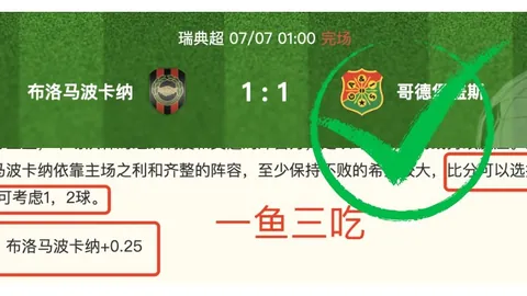 2026年美加墨世界杯