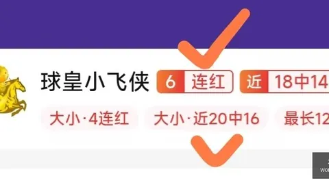 2026年美加，世界杯赛事攻略，墨世界杯 132914